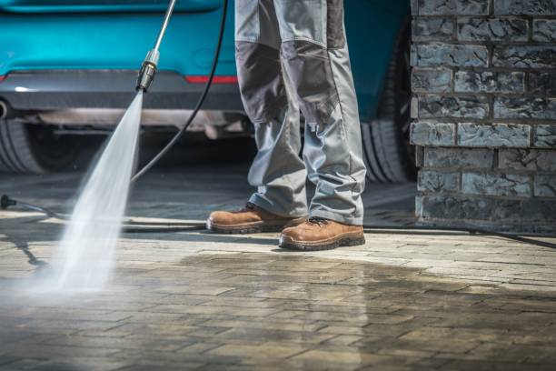 Best Gutter Cleaning  in Willard, MO