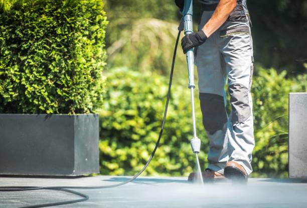 Best Factory Floor Cleaning  in Willard, MO