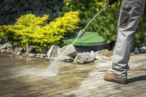 Best Fence Cleaning  in Willard, MO