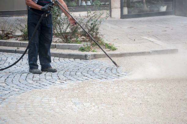 Best Driveway Pressure Washing  in Willard, MO